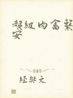 超级肉禽系统保安封面