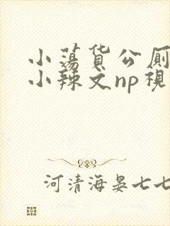 小荡货公厕h文小辣文np视频