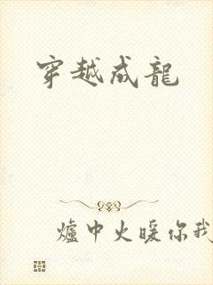 穿越成龙