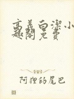 高义白洁小说笔趣阁免费