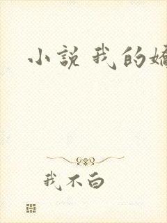 小说 我的娇妻
