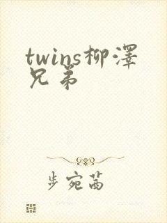 twins柳泽兄弟