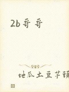 2b哥哥