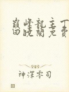 巅峰龙主丁长顺田晓兰免费阅读