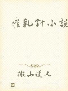 催乳针小说封面