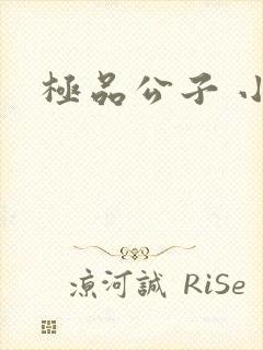 极品公子 小说封面