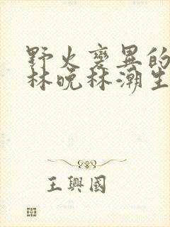 野火变异的父爱林晚林潮生