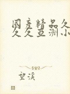 国产精品久久久久久亚洲小说