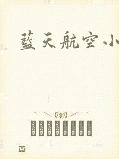 蓝天航空小说封面