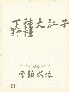 下种大肚子怀孕野种封面