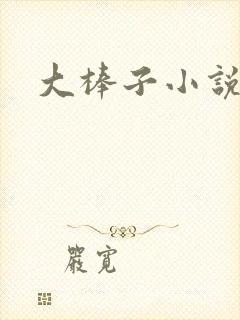 大棒子小说