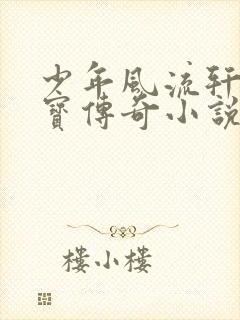 少年风流轩辕大宝传奇小说