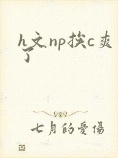 h文np挨c爽了