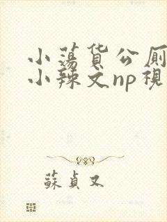 小荡货公厕h文小辣文np视频