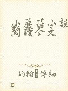 小蘑菇小说免费阅读全文