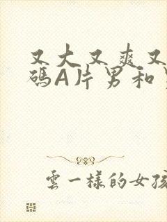 又大又爽又黄无码A片男和男