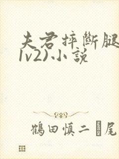 夫君摔断腿后(1v2)小说