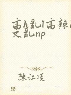 高h乱l高辣h文乱np
