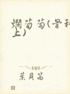 烂葡萄(骨科年上)