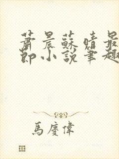 萧晨苏晴最新章节小说笔趣阁