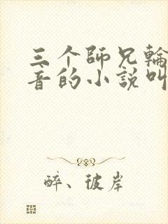 三个师兄轮流上音的小说叫什么