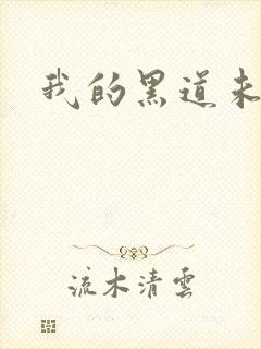 我的黑道未婚夫