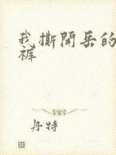 《我撕开岳的丁字裤》小说封面