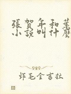 张贺年和叶繁姿小说叫什么名字