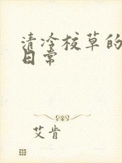 清冷校草的抹布日常