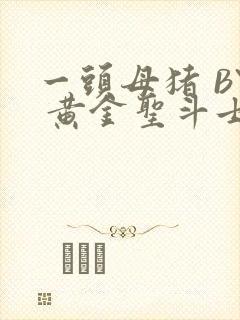 一头母猪 BY 黄金圣斗士