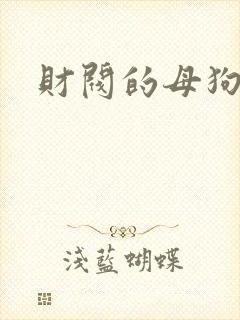 财阀的母狗们