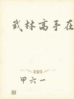 武林高手在异界