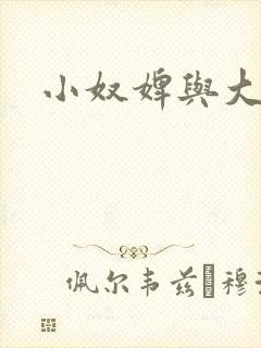 小奴婢与大少爷