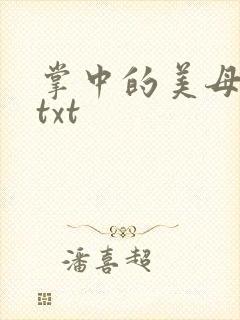掌中的美母版主txt