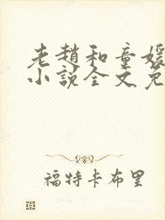 老赵和童媛媛的小说全文免费阅读封面