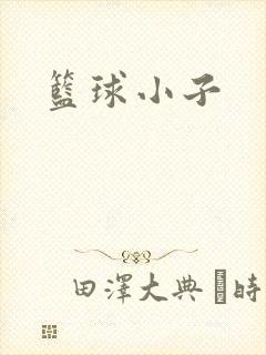 篮球小子