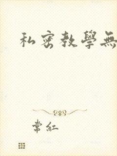 私密教学无删减