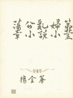 荡公乱妇第51章小说小莹