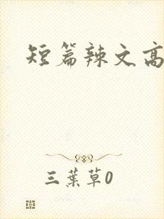 短篇辣文高h