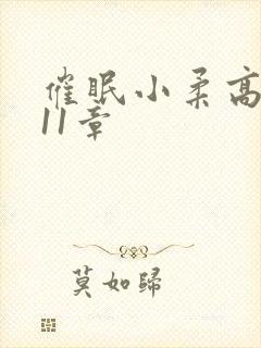 催眠小柔高达第11章