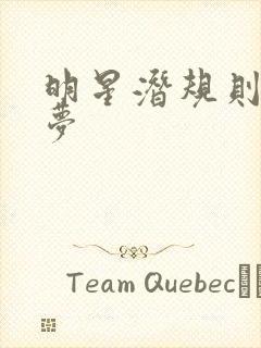 明星潜规则之皇梦