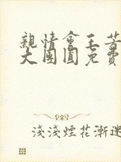 亲情会王芳高敏大团圆免费阅读