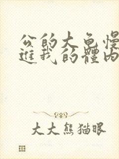 公的大龟慢慢挺进我的体内视频