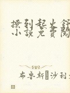 撩到起火舒漾的小说免费阅读全文