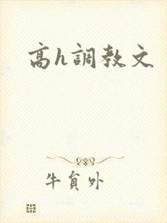 高h调教文