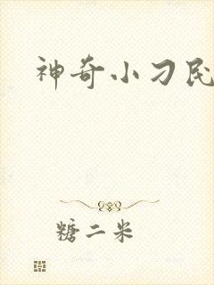 神奇小刁民