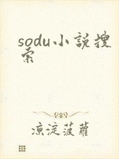 sodu小说搜索