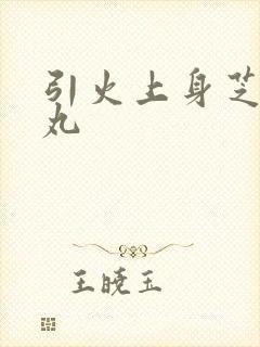 引火上身芝麻糖丸