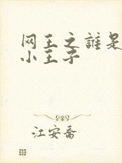 网王之谁是我的小王子