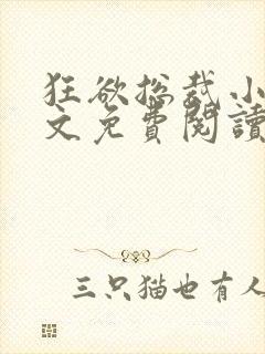 狂欲总裁小说全文免费阅读